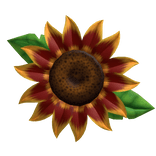 Sunflower In hair red yellow