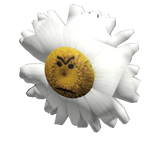 april fools arg: sunfooler pin