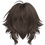 Super Fluffy Wolf Cut (Brown)