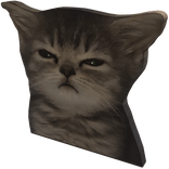 Suspicious  cat  | Right Shoulder Pet