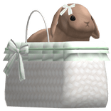 🤍 sweet baby bunny basket green