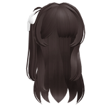 Sweet hair with a ponytail in brown ♡