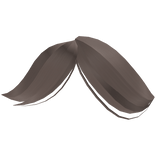 Swept Bangs in Dust Brown