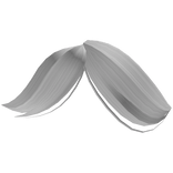 Swept Bangs in White