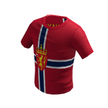 👕 T-Shirt -> Norway