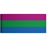 Tactical Armband (Poly Pride)