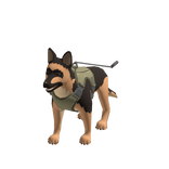 Tactical German Sheperd