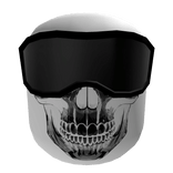 Tactical White Skull Mask with Goggles
