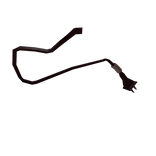 tail