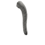 Tail