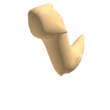 tail