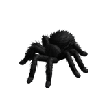 Tarantula Animated (Black)