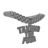 Taxiing The Poor Custom 