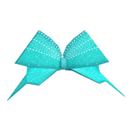 Teal Lined Sparkly Cheer Bow