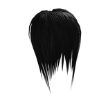 Teased Black Scenemo Hair