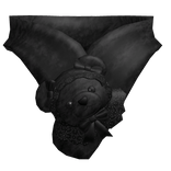 Teddy Bear Fur Scarf in Black