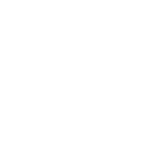 test asset