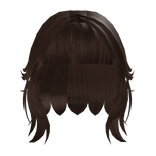 Textured Fringe Brown Hair