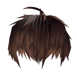 The Beginning After the End TBATE hair