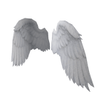 The red's wing