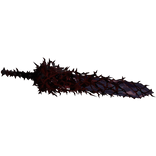 The Wild Hunt’s Greatsword Shoulder