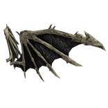 Theurgy of the Creature's Wings