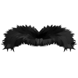 ThinBlackFurryUnibrow