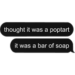 thought it was a poptart.. meme text bubble