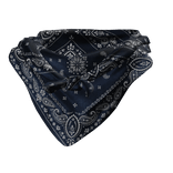 Tied Bandana Face Scarf 1.0