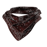 Tied Bandana Face Scarf 3.0