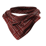 Tied Bandana Face Scarf 3.0