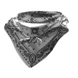 Tied Bandana Face Scarf 3.0