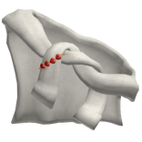 Tied Shoulder Hoodie White 3.0 with Heart Charms
