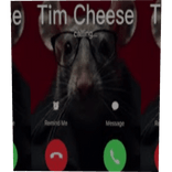 TIM CHEESE (MEME BOX)