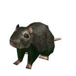 Tiny Rat Suit