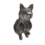 To the best cat in the world