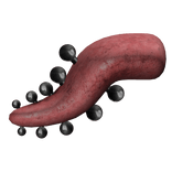 Tongue Bar Row Piercings v1