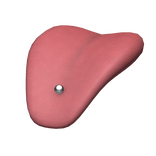 Tongue with Piercing