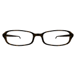 tortoise shell bayonetta style glasses