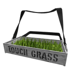 Touch Grass
