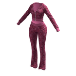 Tracksuit Leopard Pink Euina Outfit Pants Crop Top