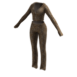 Tracksuit Outfit Leopard Flared Pants Crop Top Y2K