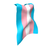 Trans Pride Cape