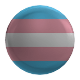 Trans Pride Pin