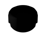 Transparent Headless Half Head