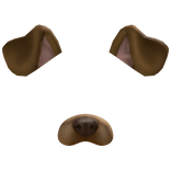 Trendy Brown Dog Puppy Face Filter