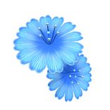 Tropical summer flower - blue