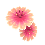Tropical summer flower - pink/orange