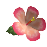 Tropical Summer Hibiscus Flower