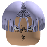 Trunks